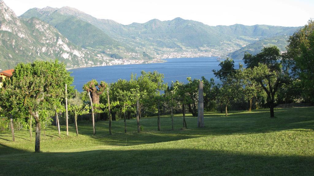 B&B Garden Solto Collina Exterior foto